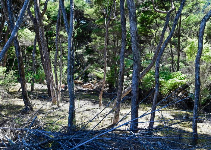  at 6 Lavinia Place, Kawau Island