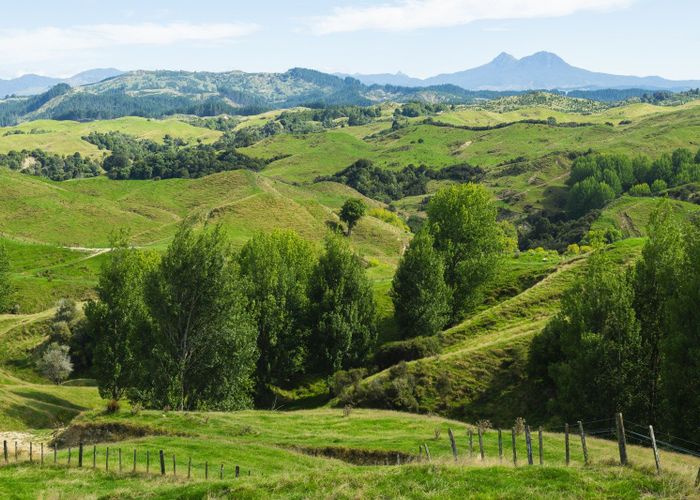  at Fernside Station, 1555 Fernside Road, Tokomaru Bay, Gisborne, Gisborne