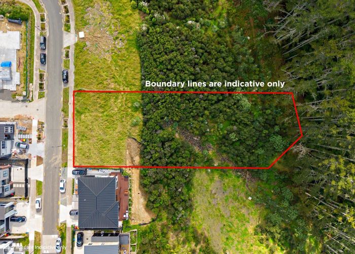  at 16 Bremner Ridge Street, Flat Bush, Manukau City, Auckland