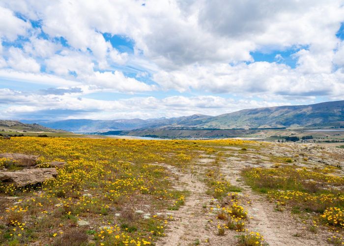  at 38 Lakefront Terrace, Bendigo Hills, Cromwell, Central Otago, Otago