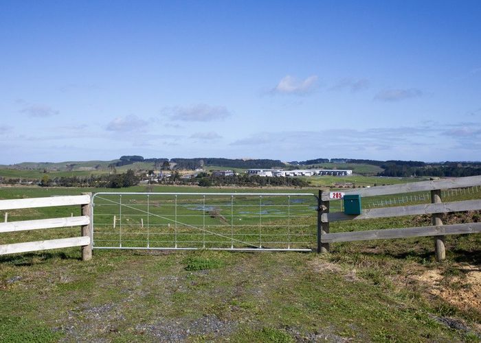  at 205 Springhill Road, Whangamarino, Te Kauwhata