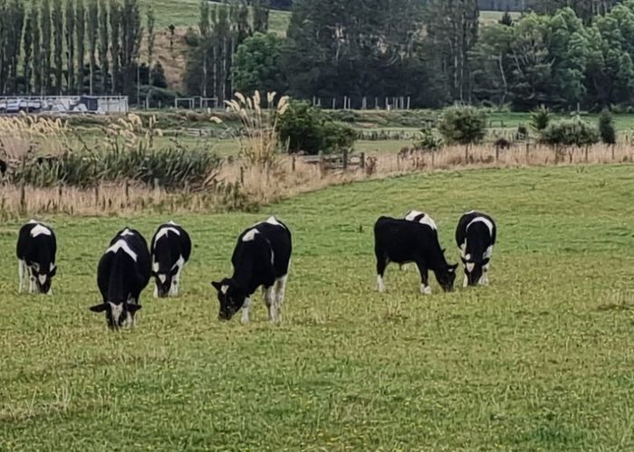  at 2801 Owaka Highway, Owaka, Clutha, Otago