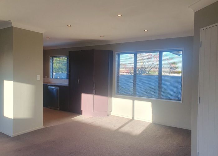  at 20A Princes Street, Netherby, Ashburton
