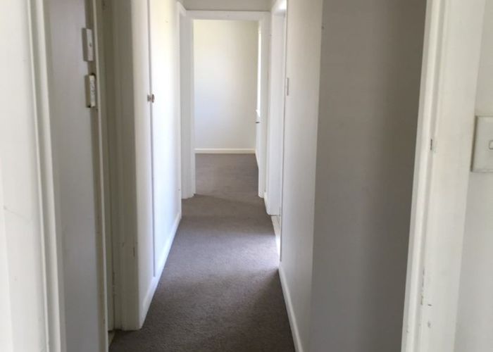  at 11 Matipo Road, Mairangi Bay, Auckland