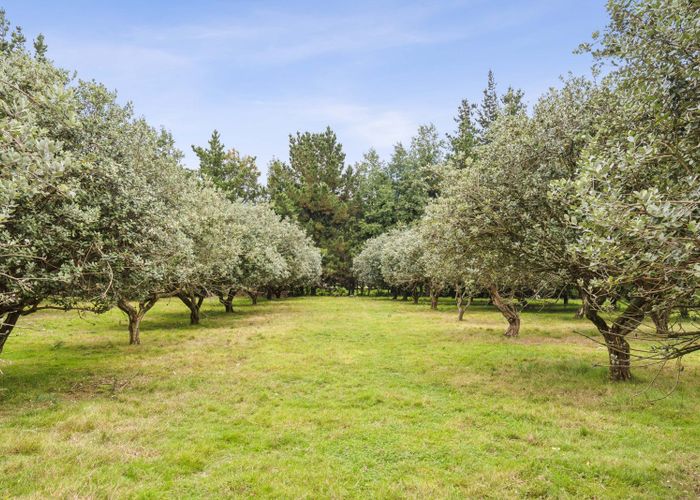  at 108 Arapaepae Road, Levin, Levin