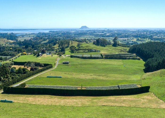  at 39  Vernon Road, Te Puna, Western Bay Of Plenty, Bay Of Plenty