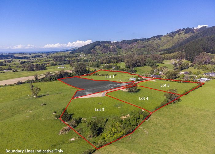  at 291 Wallace Road, Koputaroa, Levin