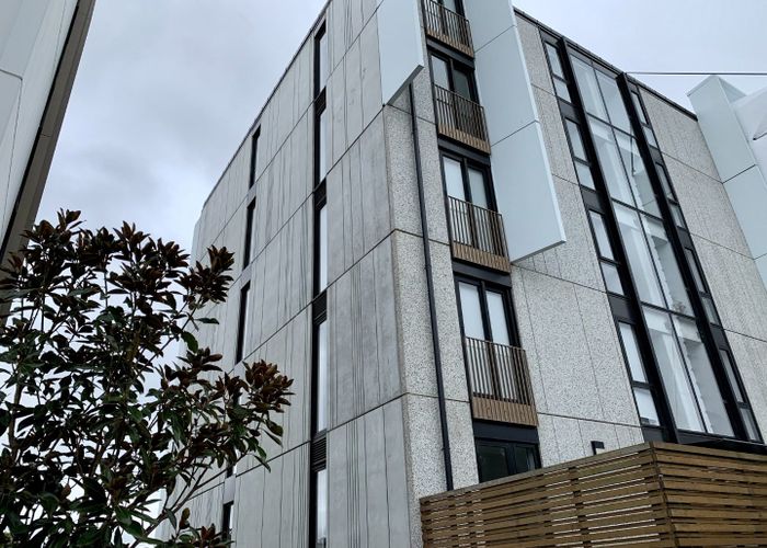  at 301/1 Bluegrey Avenue, Stonefields, Auckland City, Auckland