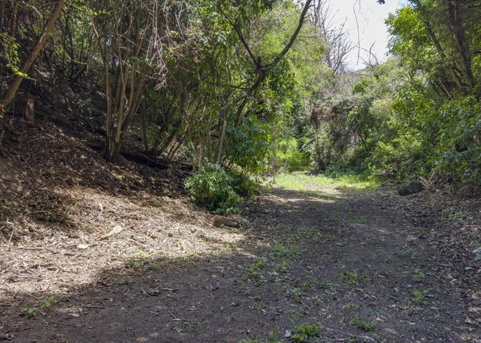  at 6 Plumwood Lane, Cashmere, Christchurch City, Canterbury