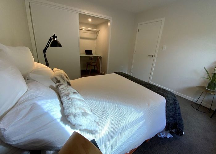  at 3/229 Aro Street, Aro Valley, Wellington, Wellington