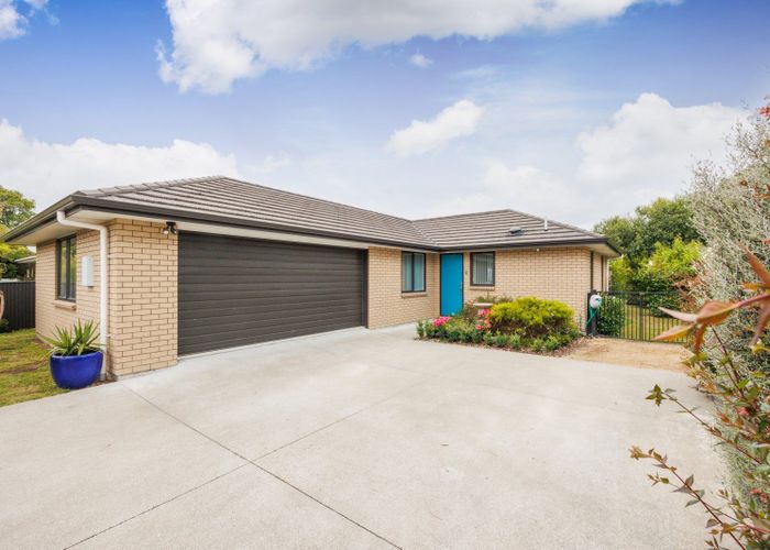  at 6 Bryant Street, Takaro, Palmerston North