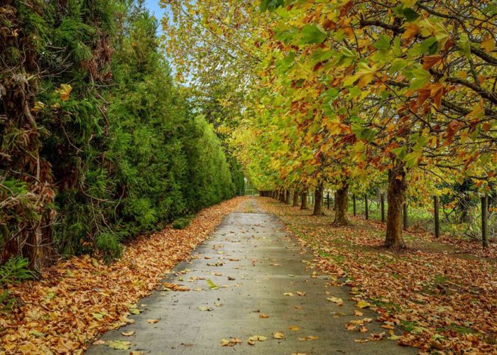  at 109 Old Railway Road, Riverhead, Rodney, Auckland