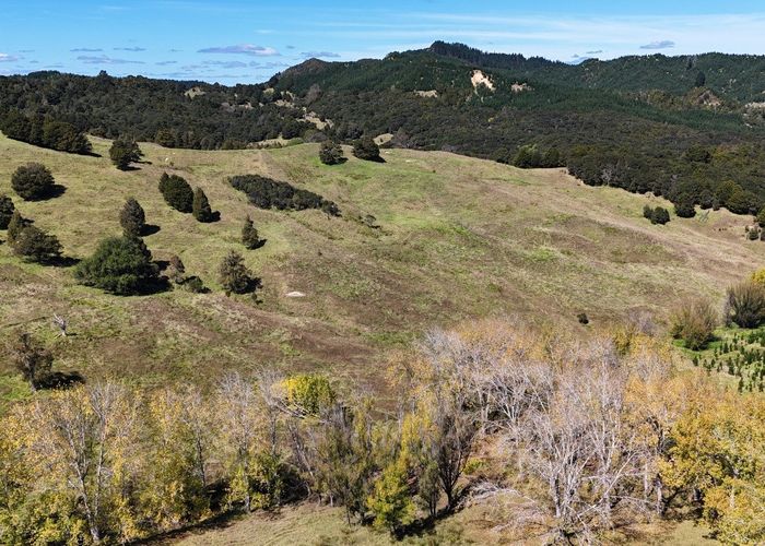  at 46 Buchanan Road, Broadwood, Far North, Northland