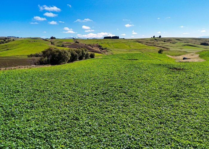  at 27 Moffat and Forbes Road, Otautau, Southland, Southland
