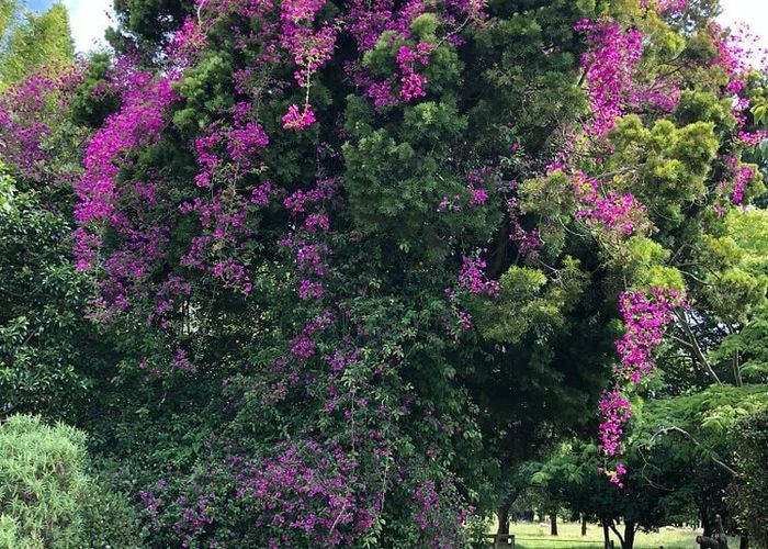  at 2 West Beach Road, Mohaka, Wairoa, Hawke's Bay