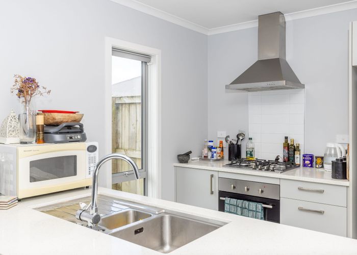  at 17 Taotahi Avenue, Dinsdale, Hamilton