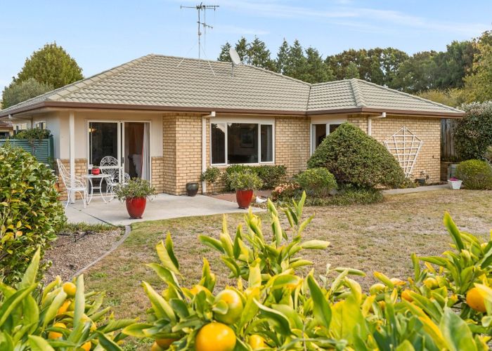  at 16 Mcleod Place, Papamoa Beach, Papamoa