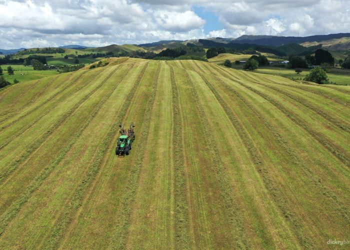  at 211 Waitetuna Valley Road, Waitetuna