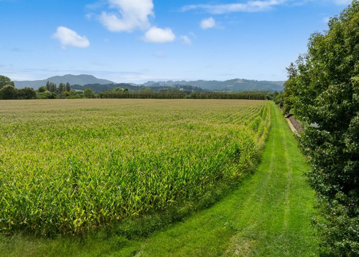  at LOT 5, DP160216 Omaha Flats Road, Omaha, Rodney, Auckland