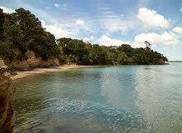  at 101 Island Bay Road, Beach Haven, North Shore City, Auckland