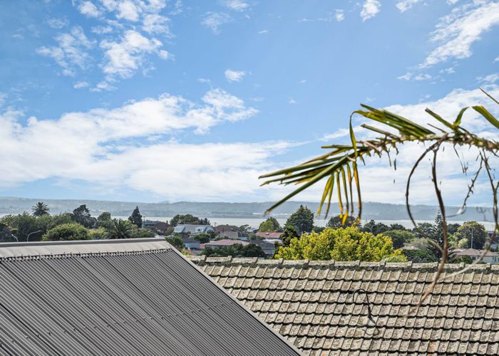  at 16 Powell Street, Avondale, Auckland