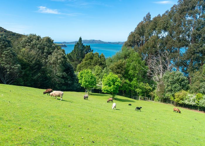  at 62 Reynoldstown Road, Careys Bay, Dunedin