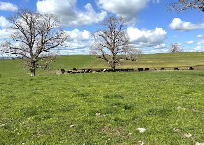  at 233B Kio Kio Station Road, Otorohanga, Otorohanga, Waikato