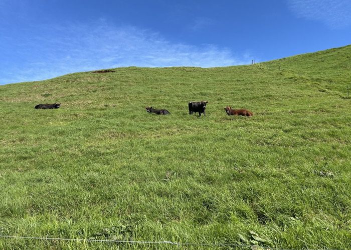 at 0pp/379 Corbett Road, Lepperton, New Plymouth, Taranaki