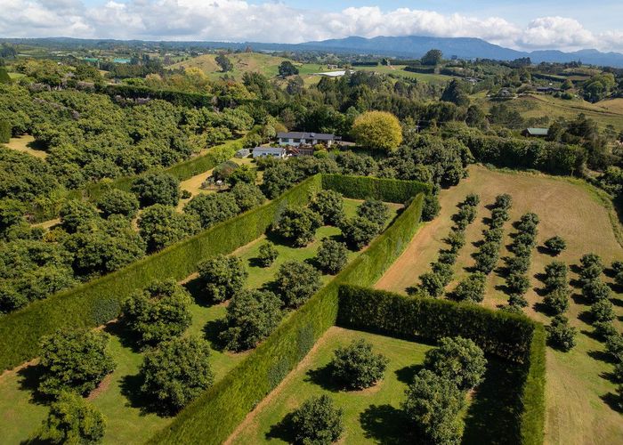  at 313 Youngson Road, Whakamarama, Western Bay Of Plenty, Bay Of Plenty