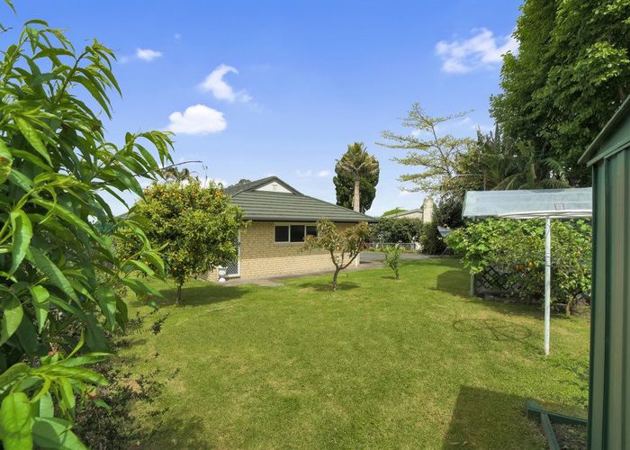  at 45 Oxford Street, Te Puke, Western Bay Of Plenty, Bay Of Plenty