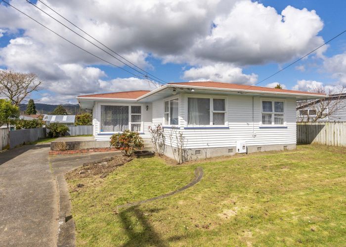  at 20 Green Avenue, Levin, Levin