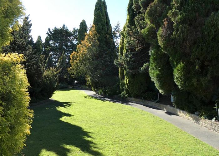  at 206 Willowbank Avenue, Meeanee, Napier