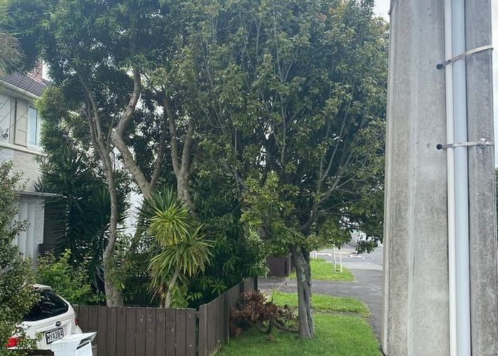  at 812 Dominion Road, Mount Eden, Auckland City, Auckland