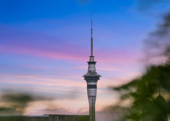  at 16 Cleveland Road, Parnell, Auckland City, Auckland