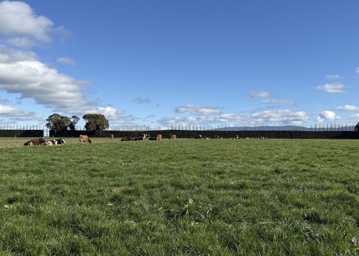  at 169 Hamilton Road, Isla Bank, Southland, Southland