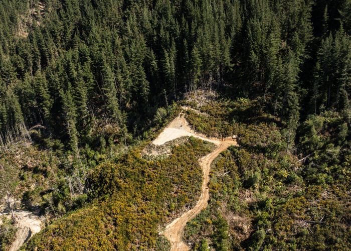  at 990 Motueka River West Bank Road, Motueka, Tasman, Nelson / Tasman