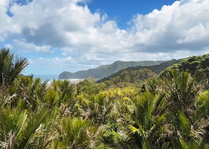  at 17 Rayner Road, Piha, Waitakere City, Auckland