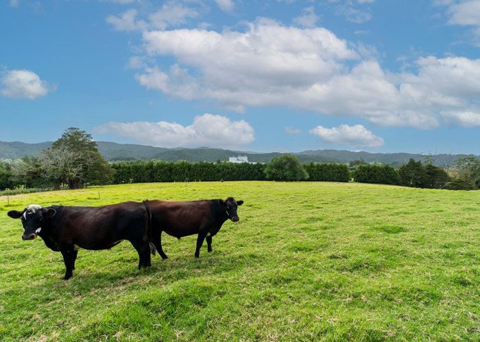  at 36 Dalkeith Drive, Kauri, Whangarei, Northland