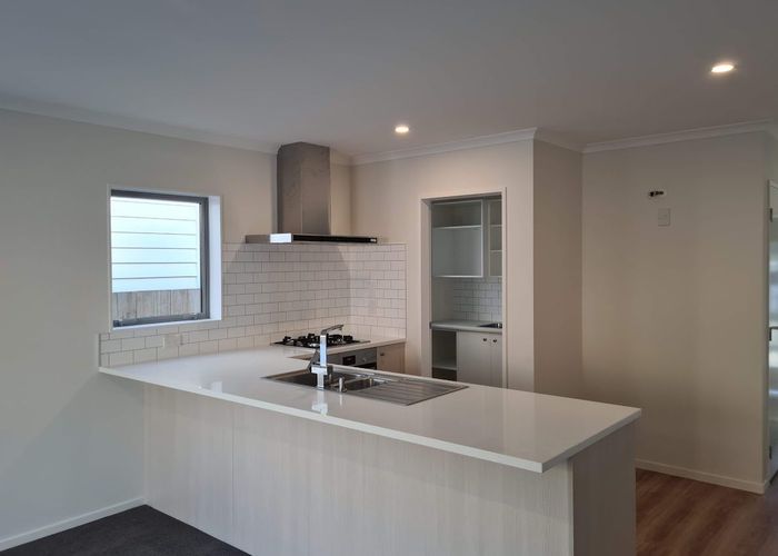  at 133 Amesbury Drive, Churton Park, Wellington, Wellington