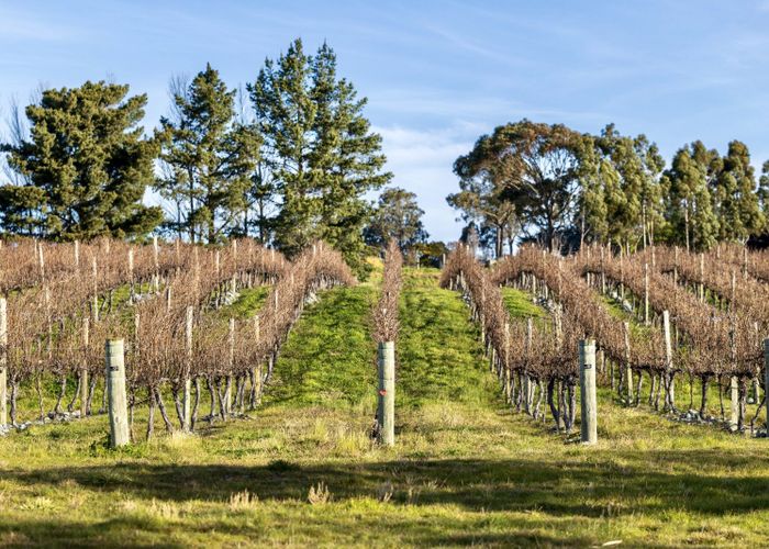  at Nursery Road, Seddon, Marlborough, Marlborough