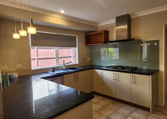  at 13 Stonebrooke Lane, Flat Bush, Manukau City, Auckland