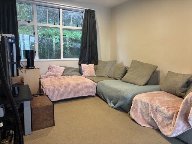  at 146H Aro Street, Aro Valley, Wellington, Wellington