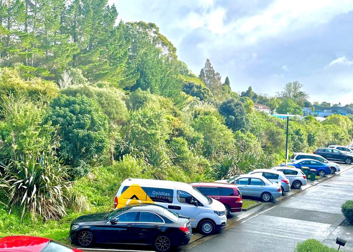  at 14 Ti Kouka Lane, Sandringham, Auckland
