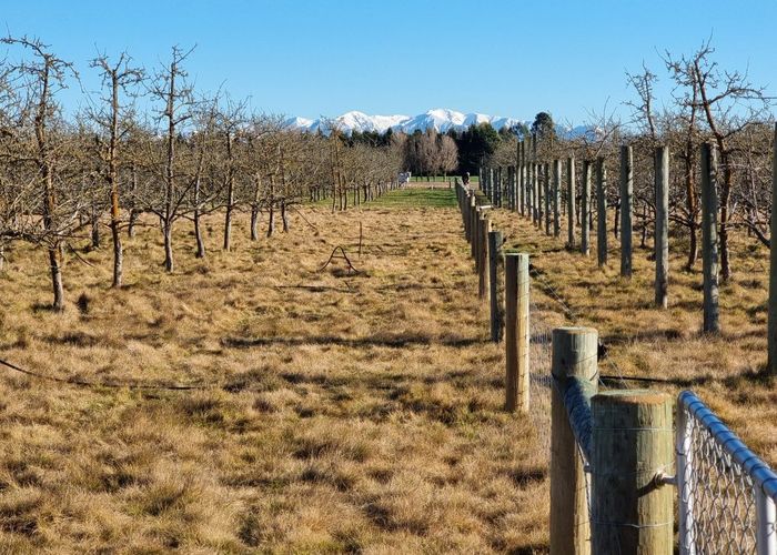  at 831 Downs Road, Eyrewell, Waimakariri, Canterbury