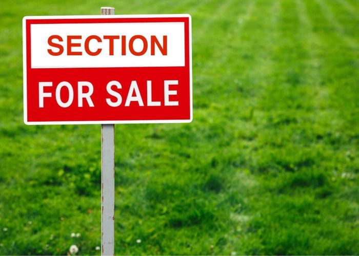  at 19 Hasted Road, Karaka, Franklin, Auckland