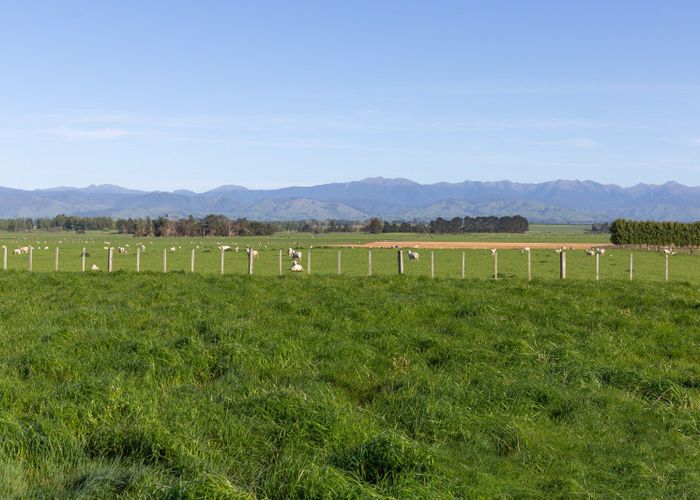  at 595 East Taratahi Road, Carterton, Carterton, Wellington