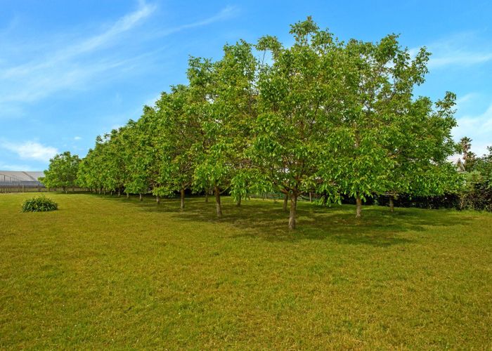  at 3 River Road, Matawhero, Gisborne, Gisborne
