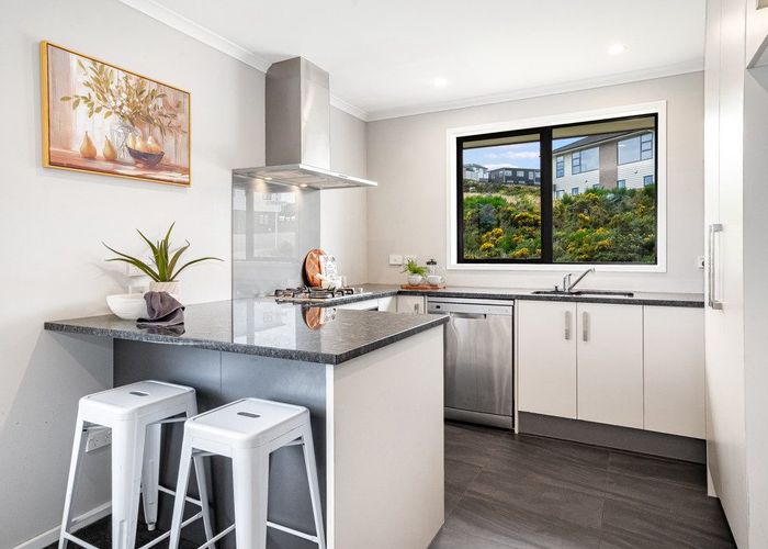  at 1 Cirrus Close, Newlands, Wellington, Wellington