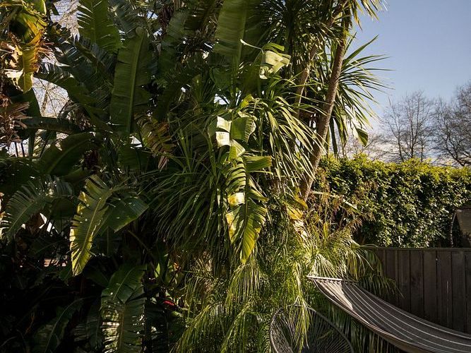  at 17 Wimbledon Way, Remuera, Auckland City, Auckland