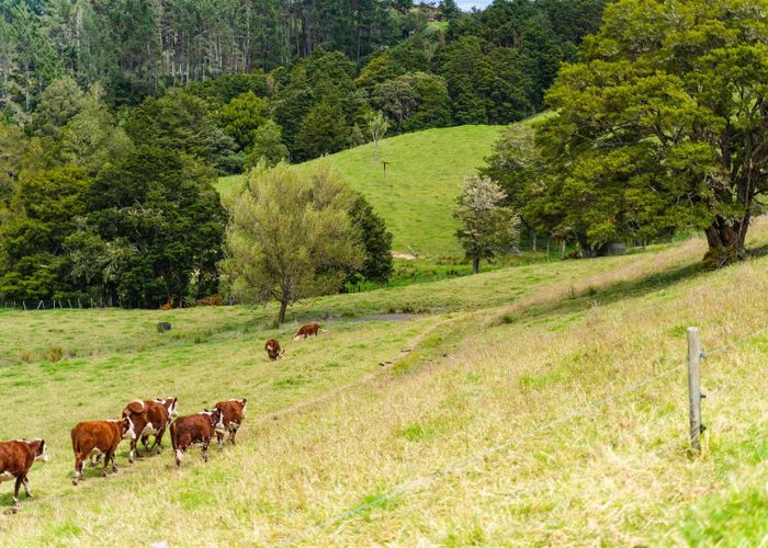  at 39 Dickson Road, Whangarei